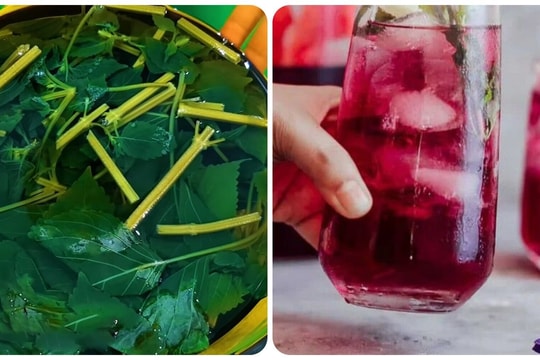 Công thức nấu nước tía tô tốt cho sức khoẻ