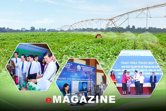 Khẳng định vai trò ngành Khoa học và Công nghệ trong sự nghiệp phát triển của tỉnh Nghệ An