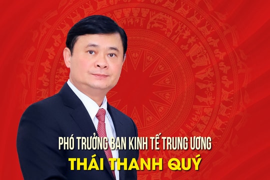 Infographics: Chân dung tân Phó Trưởng ban Kinh tế Trung ương Thái Thanh Quý