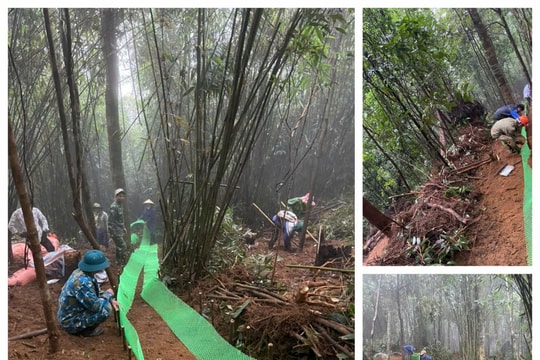 Qua kiểm tra việc trồng sâm Ngọc Linh trong rừng phòng hộ Puxailaileng: Cần kịp thời, nghiêm túc chấn chỉnh vi phạm!
