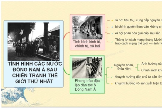 Tình hình thế giới và tác động bên ngoài dẫn đến cao trào cách mạng 1930-1931 và Xô viết Nghệ Tĩnh