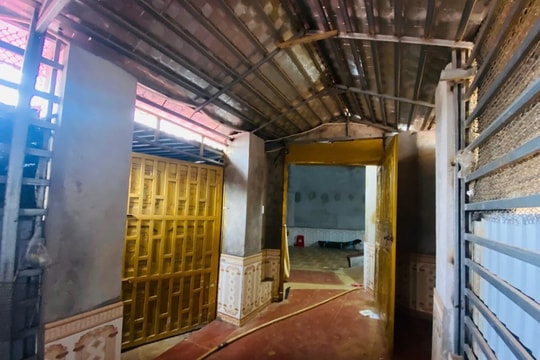 Thiết lập hàng rào thép gai và đào 300 mét đường hầm sát biên giới để tổ chức đánh bạc