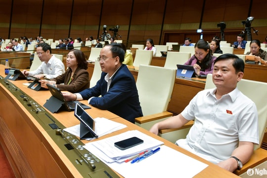 Đại biểu Quốc hội đoàn Nghệ An nêu ý kiến về đề xuất đánh thuế hàng nhập khẩu có giá trị nhỏ qua sàn thương mại điện tử