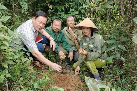 Cộng đồng phát triển cây dược liệu dưới tán rừng tự nhiên ở Tương Dương - Bài 3: Chia sẻ lợi ích từ các mô hình