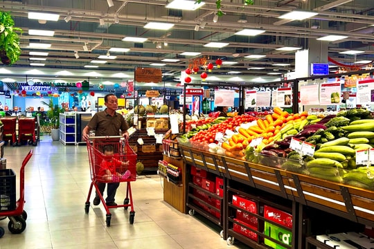 Cách khai thuế, nộp thuế GTGT đối với người nộp thuế là đơn vị phụ thuộc