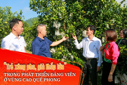 Bài 2: Khó khăn trong tìm nguồn