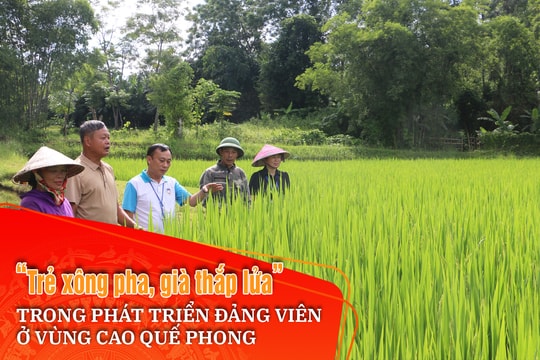 Bài cuối: Giải pháp để công tác phát triển Đảng được ‘sâu rễ, bền gốc’