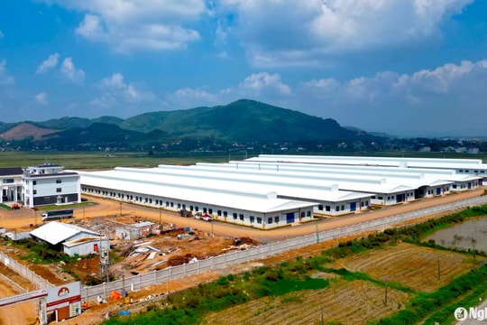 Dự án FDI 30 triệu USD ở huyện Yên Thành sắp đưa vào hoạt động