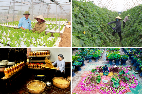 Tiếp nối truyền thống Xô viết trên quê Bác