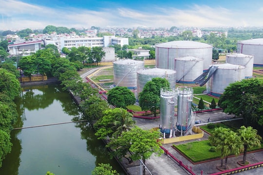 Giá xăng dầu hôm nay 2/11/2024: Giá dầu thô giảm mạnh