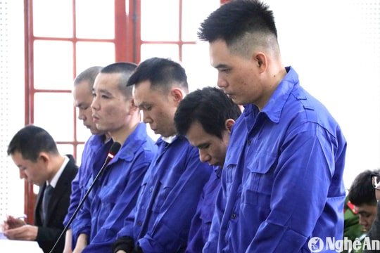 Truyền bá văn hóa đồi trụy, nhóm thanh niên lĩnh án