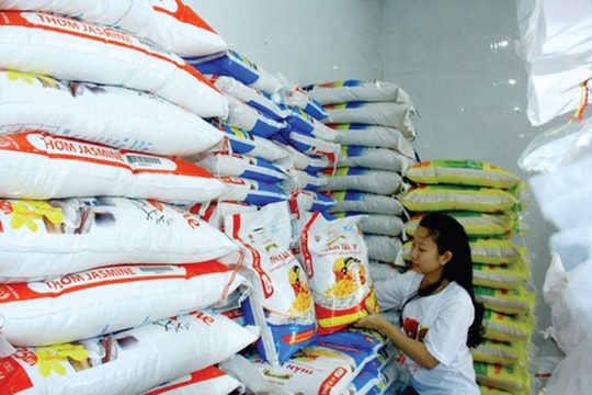 Giá lúa gạo hôm nay 1/11/2024: Gạo thành phẩm giảm 50 đồng/kg