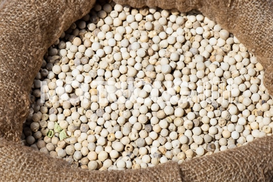 Giá tiêu hôm nay 3/11/2024: Giá tiêu Đắk Nông giảm 200 đồng/kg