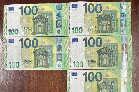 Nhân viên thử việc dọn phòng trộm luôn 2.000 EUR của du khách nước ngoài