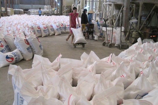 Giá lúa gạo hôm nay 3/11/2024: Đồng loạt tăng mạnh