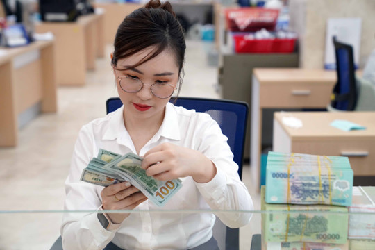 Tỷ giá USD hôm nay 3/11/2024: Giảm 10 đồng tuần qua , ở mức 24.242 đồng