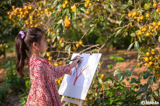 Vườn hồng cổ thụ ở Nam Đàn ‘hút’ khách dịp cuối Thu