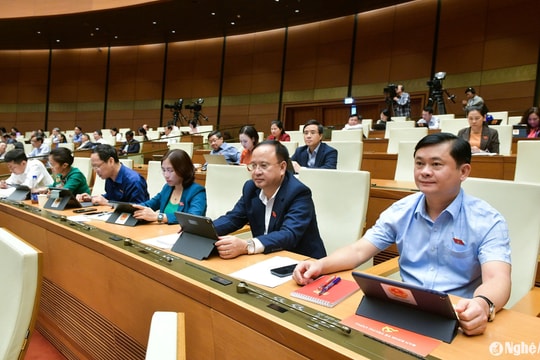 Đại biểu Quốc hội đoàn Nghệ An tranh luận về công tác quản lý nghề cá và hải sản