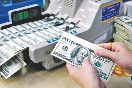 Tỷ giá USD hôm nay 6/11/2024: Giảm cả trong nước và quốc tế