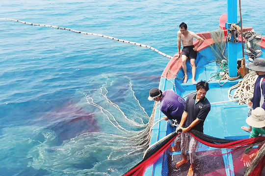 Thủ tướng Chính phủ yêu cầu xử lý dứt điểm tàu cá '3 không' trước ngày 20/11/2024