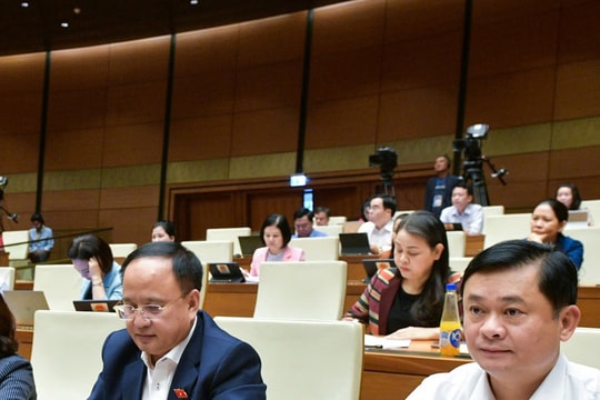 Điểm tin ngày 5/11