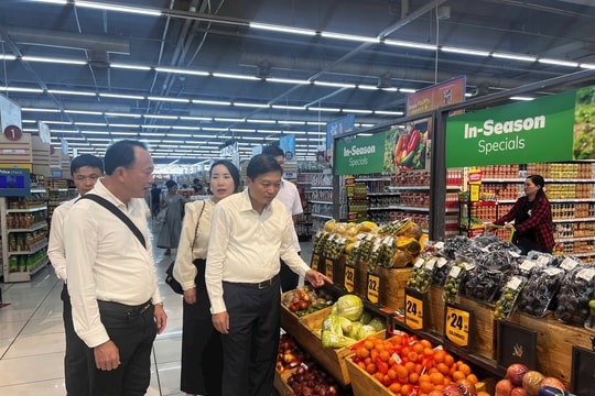 Nghệ An tham gia đoàn giao dịch thương mại, tìm hiểu thị trường Philippines