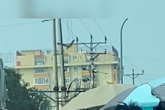 Đường Hồ Tông Thốc, cạnh Bệnh viện Hữu nghị Đa khoa Nghệ An, lại bị chiếm dụng để kinh doanh