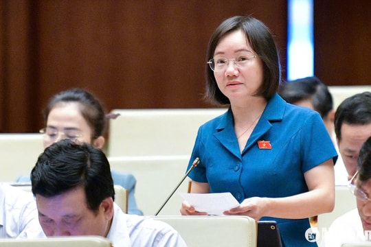 Đại biểu Quốc hội đoàn Nghệ An băn khoăn trước đề xuất tăng gấp 20 lần mức xử lý vi phạm trong lĩnh vực kiểm toán độc lập