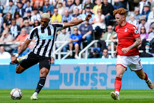 Nhận định, dự đoán Newcastle vs Nottingham: Bữa tiệc tấn công