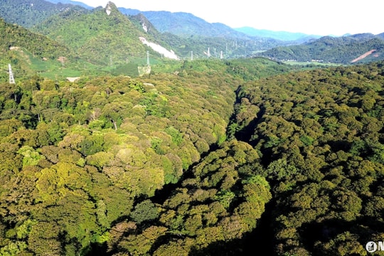 Nghệ An đăng cai mít tinh hưởng ứng ngày quốc tế về Khu dự trữ sinh quyển