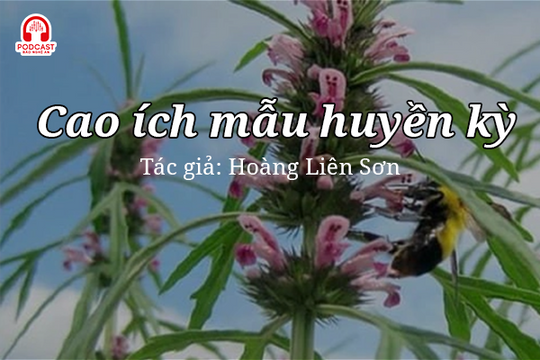 Đọc truyện đêm khuya: Cao ích mẫu huyền kỳ