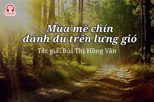 Tản văn hay: Mùa mè chín đánh đu trên lưng gió