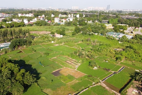 Quy định về thời hạn khi nhận chuyển quyền sử dụng đất