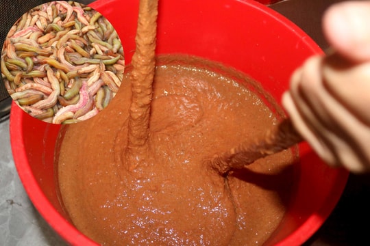 Mắm rươi - đặc sản vùng hạ lưu sông Lam