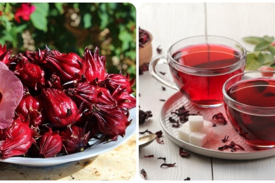 Các bài thuốc chữa bệnh từ cây bụp giấm