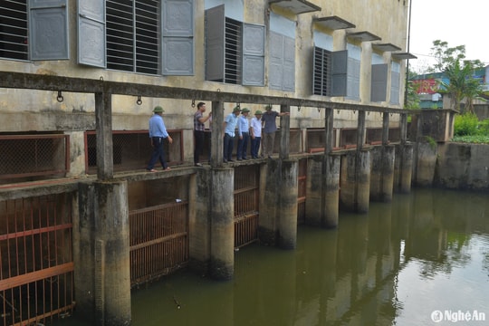 Phó Chủ tịch UBND tỉnh Nguyễn Văn Đệ kiểm tra công trình giao thông thủy lợi