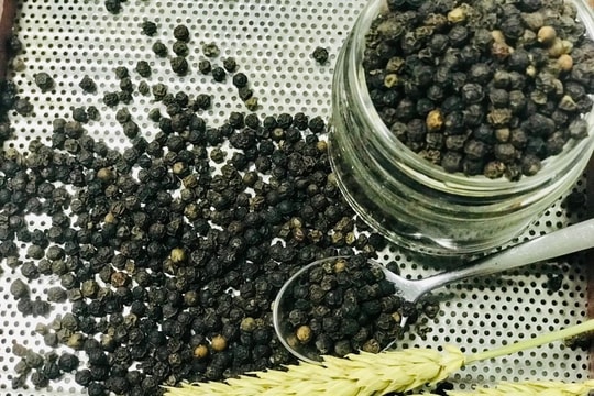 Giá tiêu hôm nay 13/11/2024: Giảm mạnh đồng loạt 2,000 đồng/kg