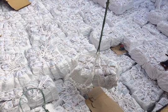 Giá lúa gạo hôm nay 13/11/2024: Giá gạo xuất khẩu giảm mạnh