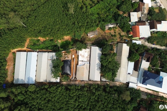 Người dân bức xúc vì trang trại gây ô nhiễm ở huyện Yên Thành