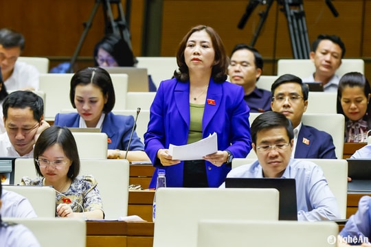 Đại biểu Quốc hội đoàn Nghệ An đề xuất một số giải pháp đối với Chương trình mục tiêu quốc gia phòng, chống ma túy