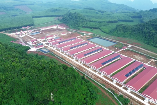 Khởi sắc Tân Kỳ