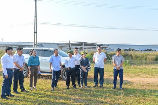 Quy định về quyền giám sát của công dân đối với việc quản lý, sử dụng đất đai