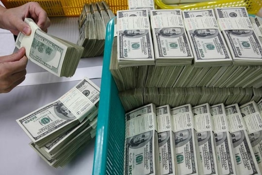 Tỷ giá USD hôm nay 19/11/2024: Đồng USD đỏ sắc phiên đầu tuần