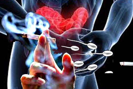 Hút thuốc lá gây nên nhiều vấn đề về sức khỏe sinh sản