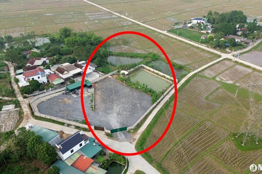 Ngang nhiên lập bãi tập kết xe tải dưới đường điện 500kV