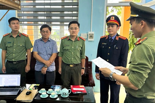 Khởi tố 11 bị can liên quan đến dự án cây xanh