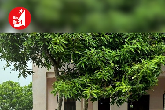 30 thanh niên dùng xe máy, mang theo dao kiếm rượt đuổi nhau