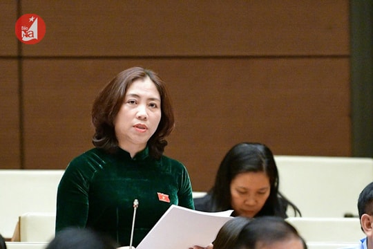 Điểm tin ngày 20/11