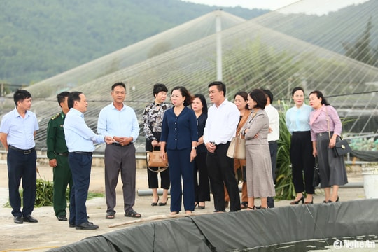 Đoàn công tác Trung ương Hội Nông dân đánh giá cao phong trào, công tác Hội ở Diễn Châu