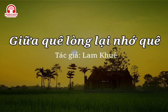 Tản văn hay: Giữa quê lòng lại nhớ quê